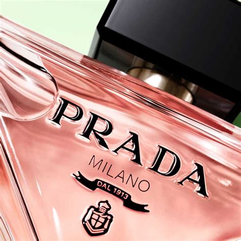 profumo nuovo di prada|Paradoxe .